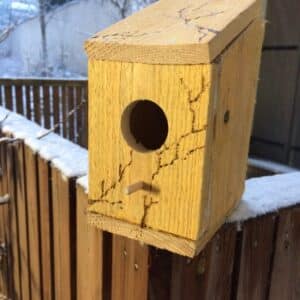 Offrir l’atelier “Le nichoir à oiseaux”