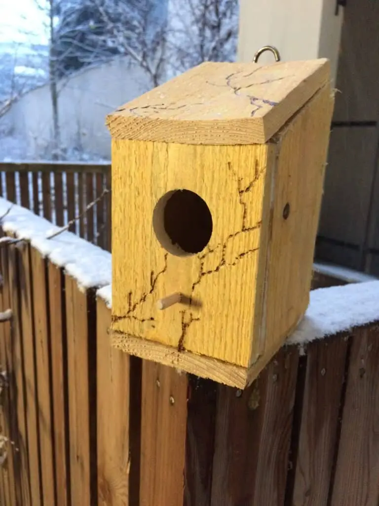 Un nichoir à oiseaux sous la neige