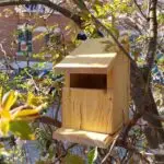 Un nichoir en bois adapté pour les petits oiseaux