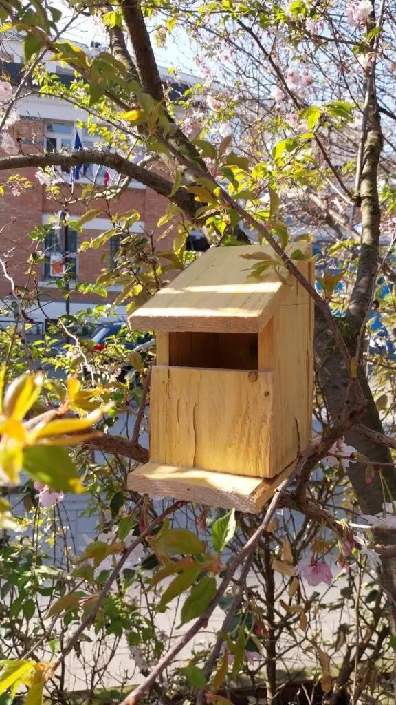 Un nichoir en bois adapté pour les petits oiseaux